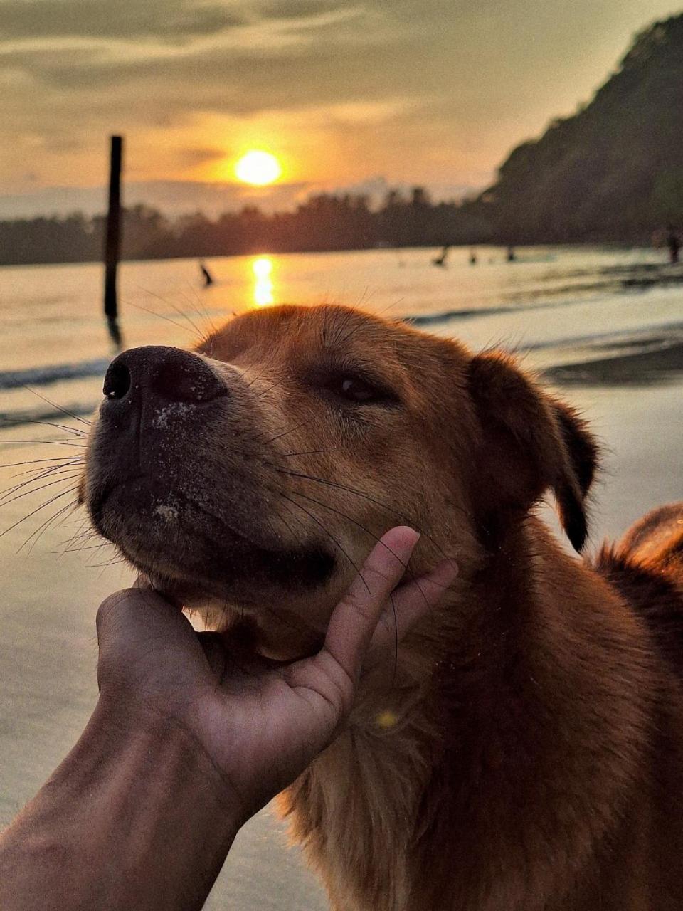 Koh Kood Neverland Beach Resort Ko Kut Екстер'єр фото