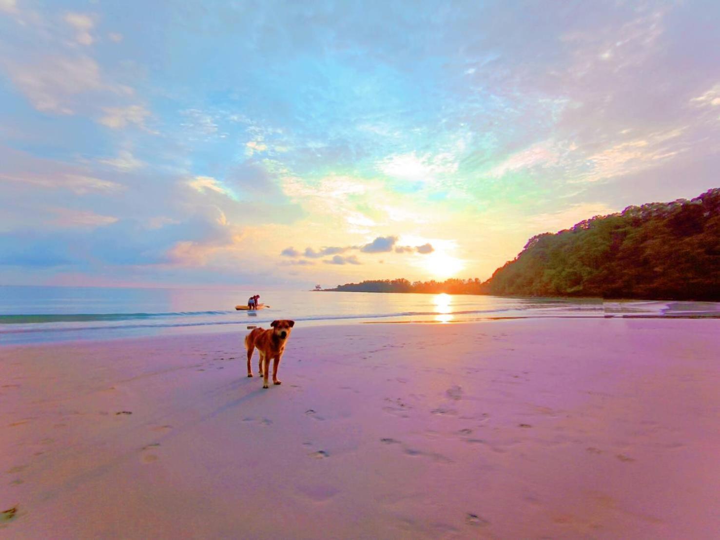 Koh Kood Neverland Beach Resort Ko Kut Екстер'єр фото